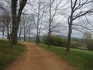 Path